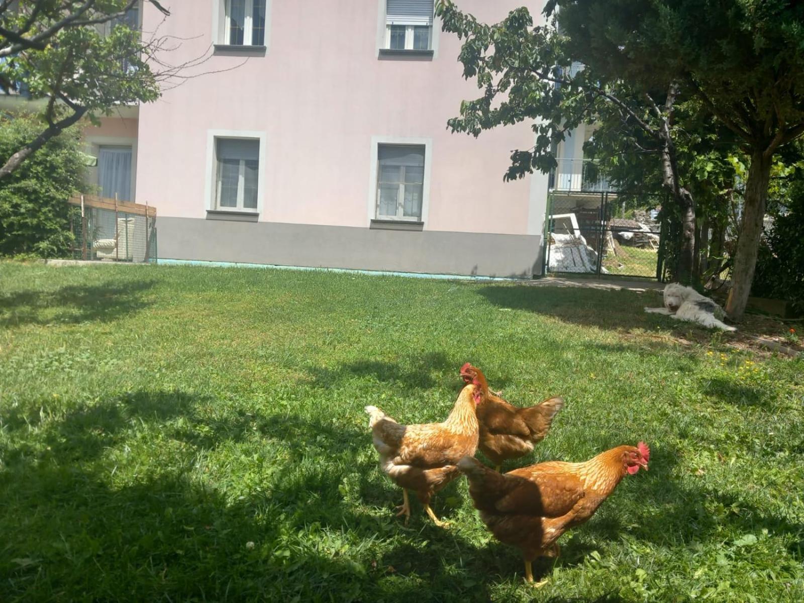 Ferienhaus Casa Sergio *