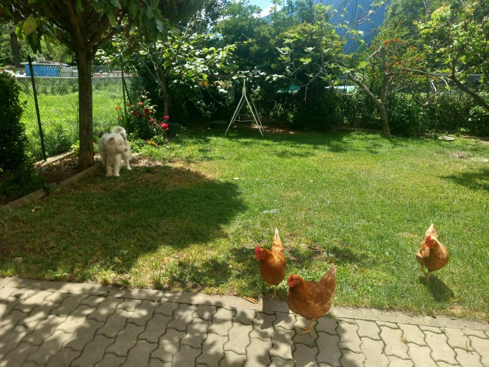 Casa Sergio Holiday home